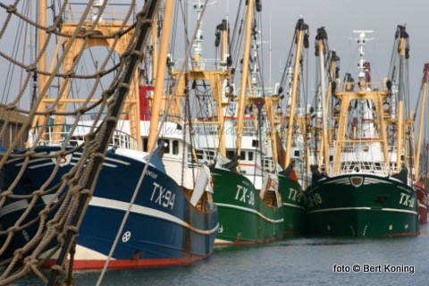 De Texelse visservloot in het weekeinde in de thuishaven.