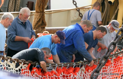Op de 'Biem Jan' van de gebroeders van der Vis uit Oosterend maken 'vele handen licht werk' op de vrijdagmorgen. 